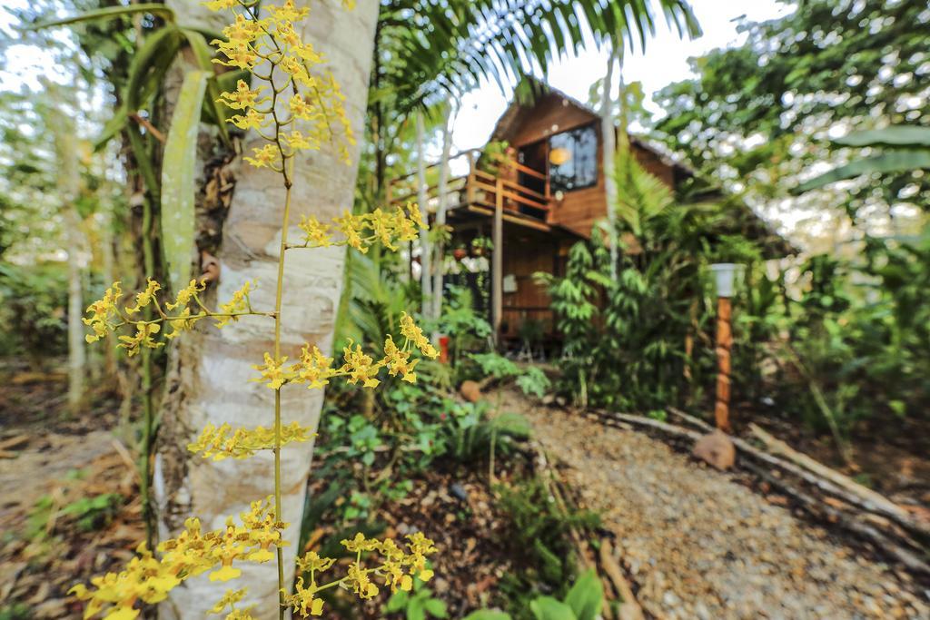 Kapievi Ecovillage Puerto Maldonado Exterior photo